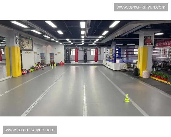 搏击失误：从挡牌到人生，如何把每一次倒下变成下一次站起的力量