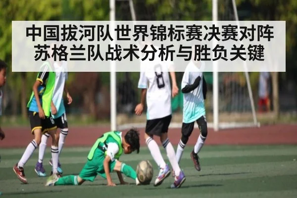 中国拔河队世界锦标赛决赛对阵苏格兰队战术分析与胜负关键